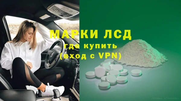 мяу мяу мука Баксан