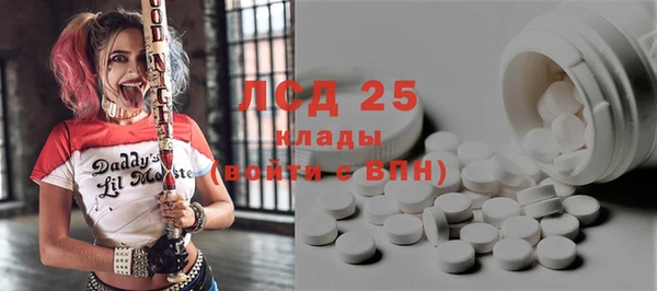 гидра Алексин