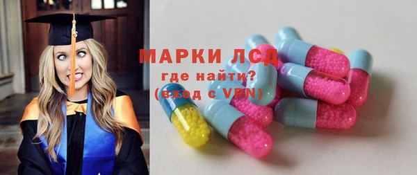 стафф Арсеньев