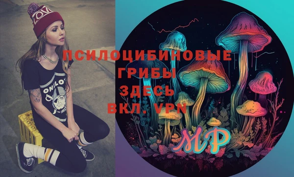 эйфоретик Аркадак