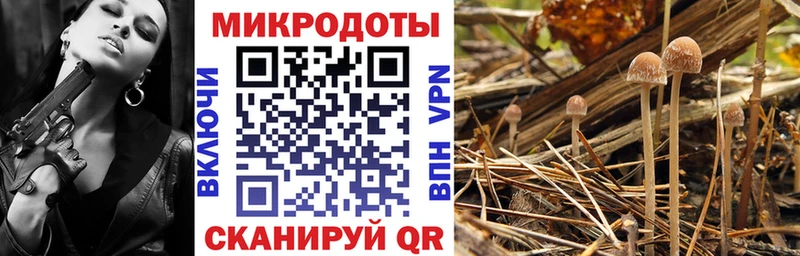 мориарти официальный сайт  Афипский  Галлюциногенные грибы Cubensis 
